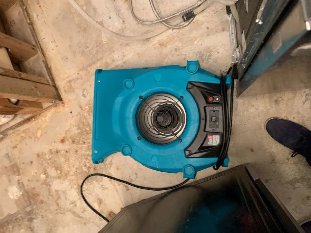 Air mover drying equipment for Mold Remediation & Removal in Brookshire
